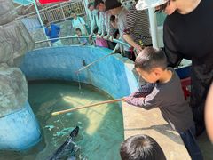 -合肥野生动物园