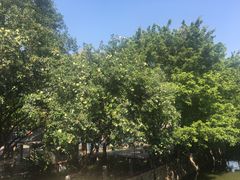 -晓港公园