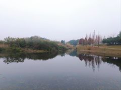 -眉山湿地公园(东坡区)