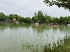 -泗洪洪泽湖湿地景区