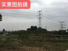 -紫颐香薰山谷景区