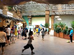 -杭州开元森泊度假乐园