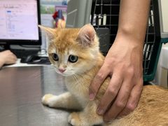 -爱诺耐芙动物医院(万博店)