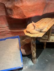 -Zoolung Zoolung动物主题公园(海信广场店)