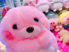 -PAWTOY爪e玩偶店(天兴罗斯福店)