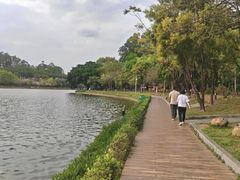 -南国桃园旅游度假区