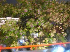 -MAO Livehouse(杭州店)