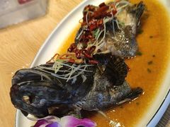 -尚海豆捞(乐虹坊店)