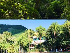 -西双版纳原始森林公园