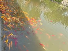 -武汉紫薇都市田园