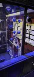 -尼克Playtime(欢乐海岸店)