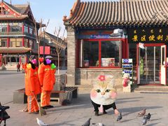 -大召寺明清一条街