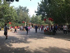 -丰台科技园生态主题公园