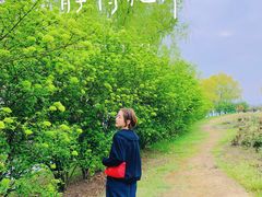 -漕湖湿地公园