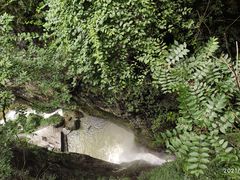 -鹿院坪生态旅游景区
