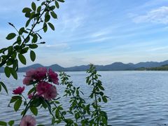 -文武王氏烧饼·无矾油条(西溪路店)