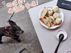 锅贴-张记汤馆(嫩江路店)