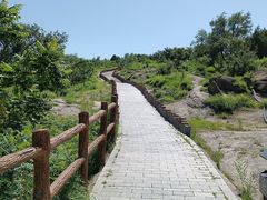 -白水寺森林公园