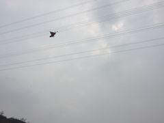 -古柏渡飞黄旅游区