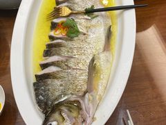 -鲁宴·鲁煨黄河生态大鲤鱼(月坛店)