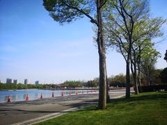 -尚贤河湿地