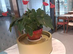 -康师傅私房牛肉面(申虹店)