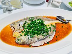 -醉辉皇上海之巅(上海中心大厦店)
