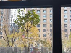 -康莱德酒店·美庭自助餐厅