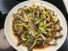 菊花武昌鱼-好妈王饺子(滂江街店)