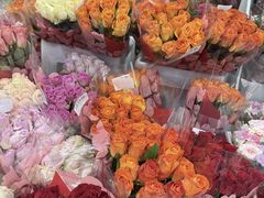 -山姆会员商店(杨桥西路店)
