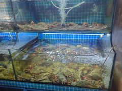 -来之顺海鲜菜馆·青岛菜·始于1993(栈桥店)