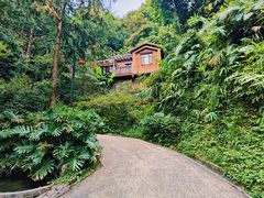 -广东天露山旅游度假区