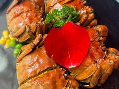 -月湖萃·上海菜(思南公馆淮海店)