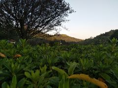 -石燕湖生态旅游景区