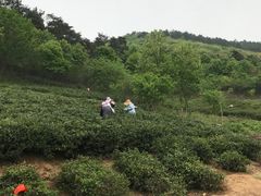 -南京金牛湖风景区