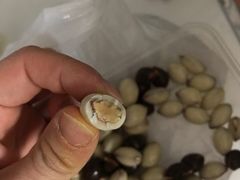-梁子刨冰王&梁小糖(王顶堤店)