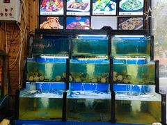 水产区-老东镇啤酒屋海鲜加工·蒸汽海鲜·海鲜烧烤(台东店)