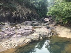 -广州白江湖森林公园