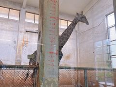 -石家庄市动物园