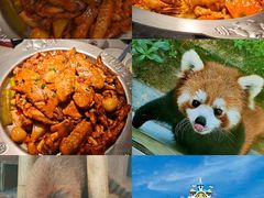 -和信广场(狮山店)