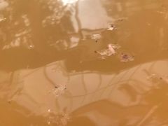 -海德温泉酒店