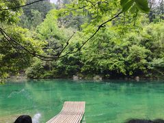 -石台牯牛降景区