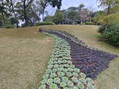 -云溪植物园