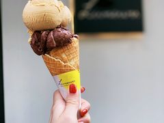 黑巧克力香蕉咸花生冰淇淋-Luneurs(幸福里店)