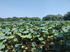 -杭州西湖风景名胜区-钱塘苏小小之墓