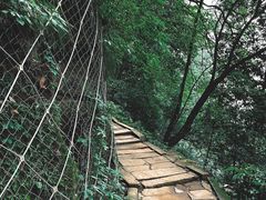 -青城山