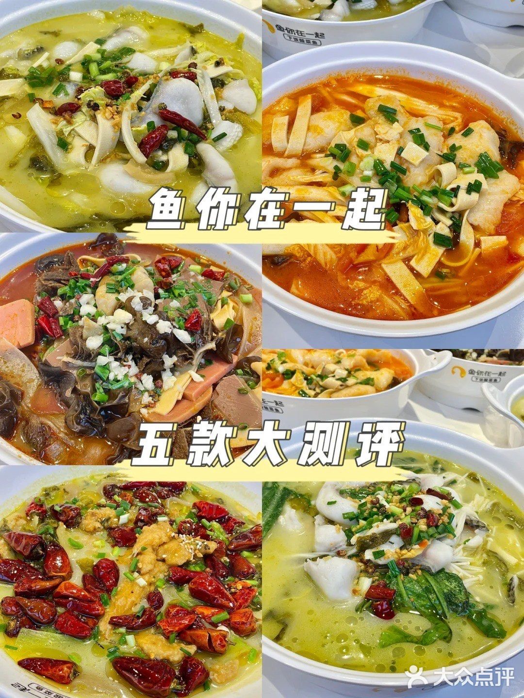 鱼你在一起 | 超全测评来咯‼