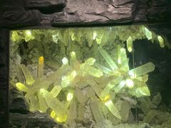 -湖南省地质博物馆