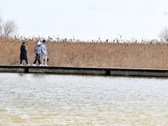 -盐城丹顶鹤湿地生态旅游区