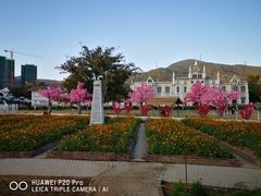 -玫瑰海岸文化旅游度假区